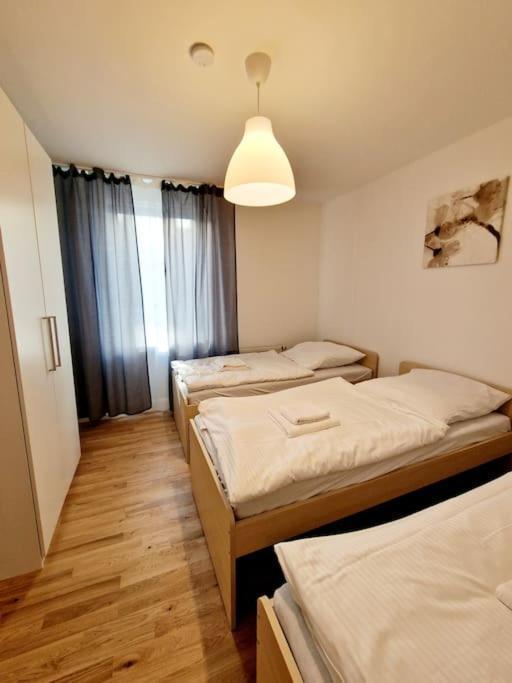 Appartement Cozy In The Center Of 23